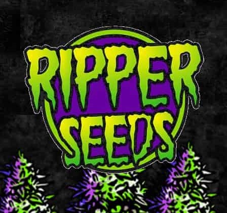 ripper seed
